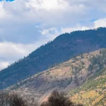 Jibhi In Kullu Featured Image