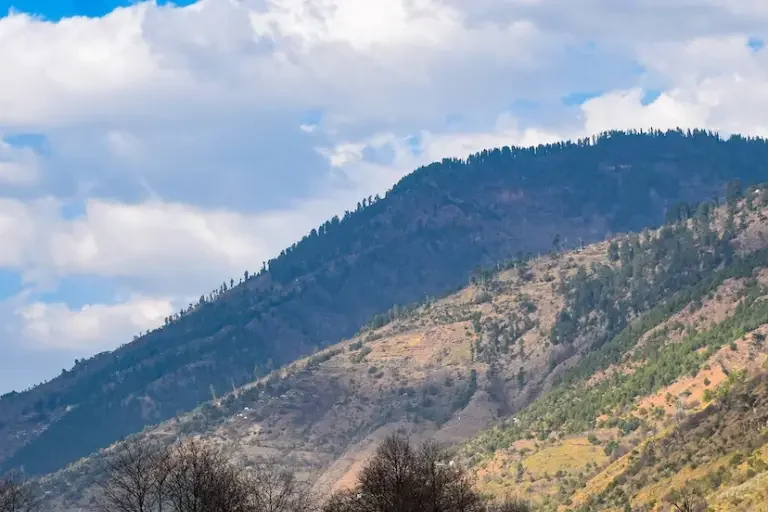 Jibhi In Kullu Featured Image