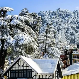 Shimla Snow Trip