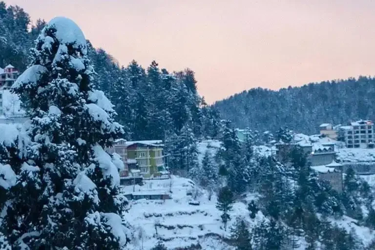 Shimla Snowfall Header Image