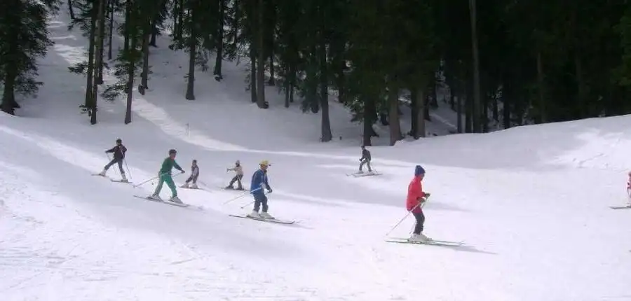 Places to visit in Shimla - Shimla's Natural Beauty 5 Skiing in Narkanda