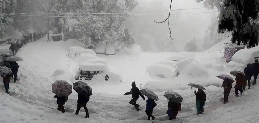 Heavy Snowfall in Shimla