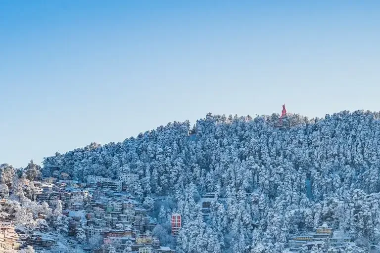 Things To Do In Shimla Featured Image