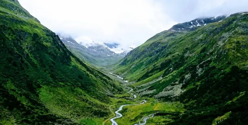 Himachal In Spring