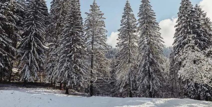 Himachal In Winter 1