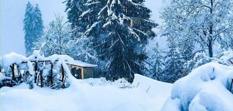 Himachal In December - Places To Visit In Dec In Himachal, Snow, Weather & More 11 Himachal in December Gallery Image 10