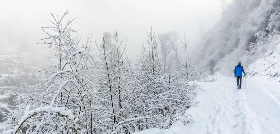 Himachal In December - Places To Visit In Dec In Himachal, Snow, Weather & More 10 Himachal in December Gallery Image 9