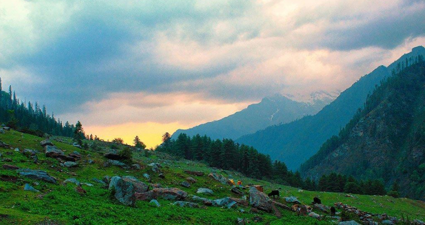 Tosh, Himachal Pradesh - All You Want To Know About Tosh Village 2 How to reach Tosh image