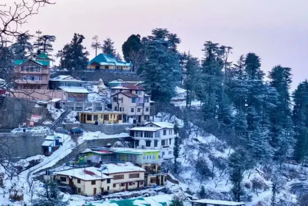 Wintery Himachal Honeymoon Package - [4Nights/5Days]