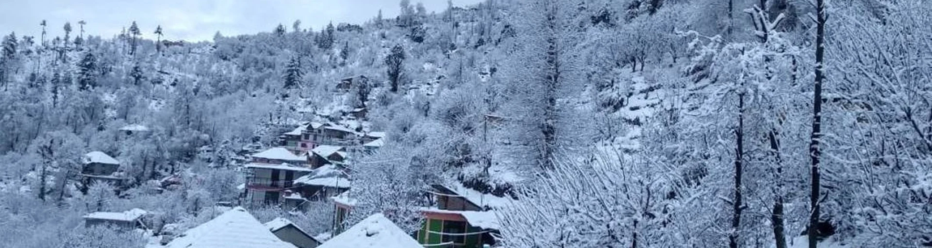 Snowfall In Himachal Featured Image