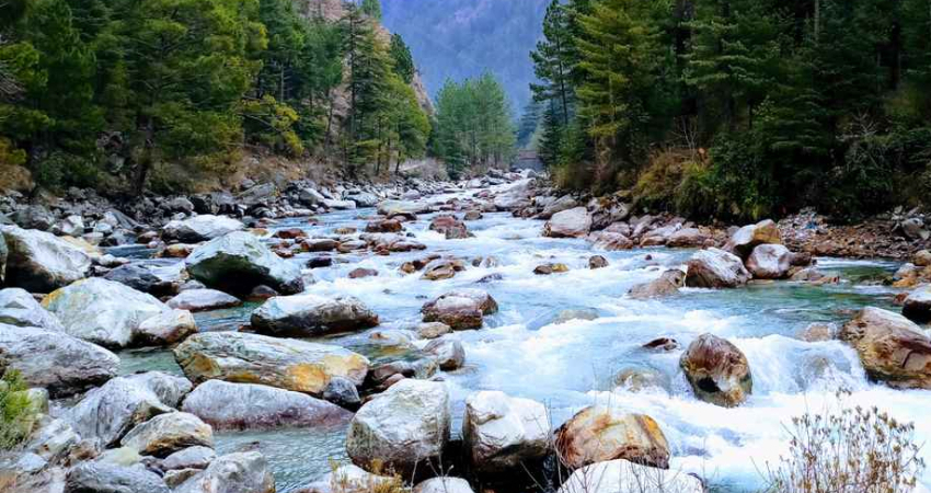 Tosh, Himachal Pradesh - All You Want To Know About Tosh Village 4 Things to do Tosh image