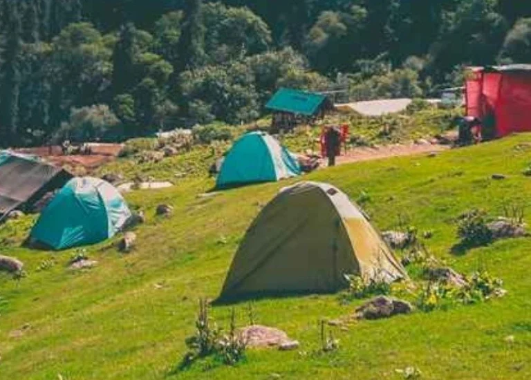 Tosh Himachal Pradesh image