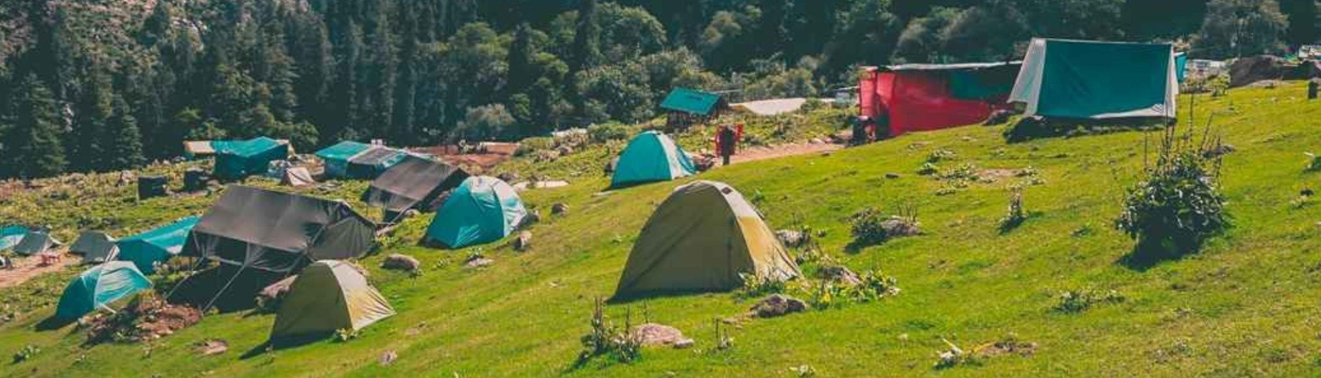 Tosh Himachal Pradesh image