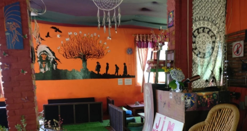 Tosh, Himachal Pradesh - All You Want To Know About Tosh Village 6 Where to eat Tosh image