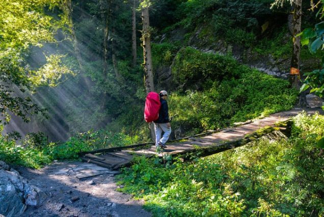 Himachal Honeymoon Package Ex Delhi - [7Nights/8Days]