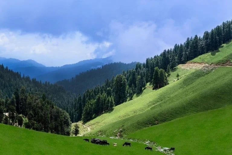 Ultimate Road Trip Itinerary Featured Image