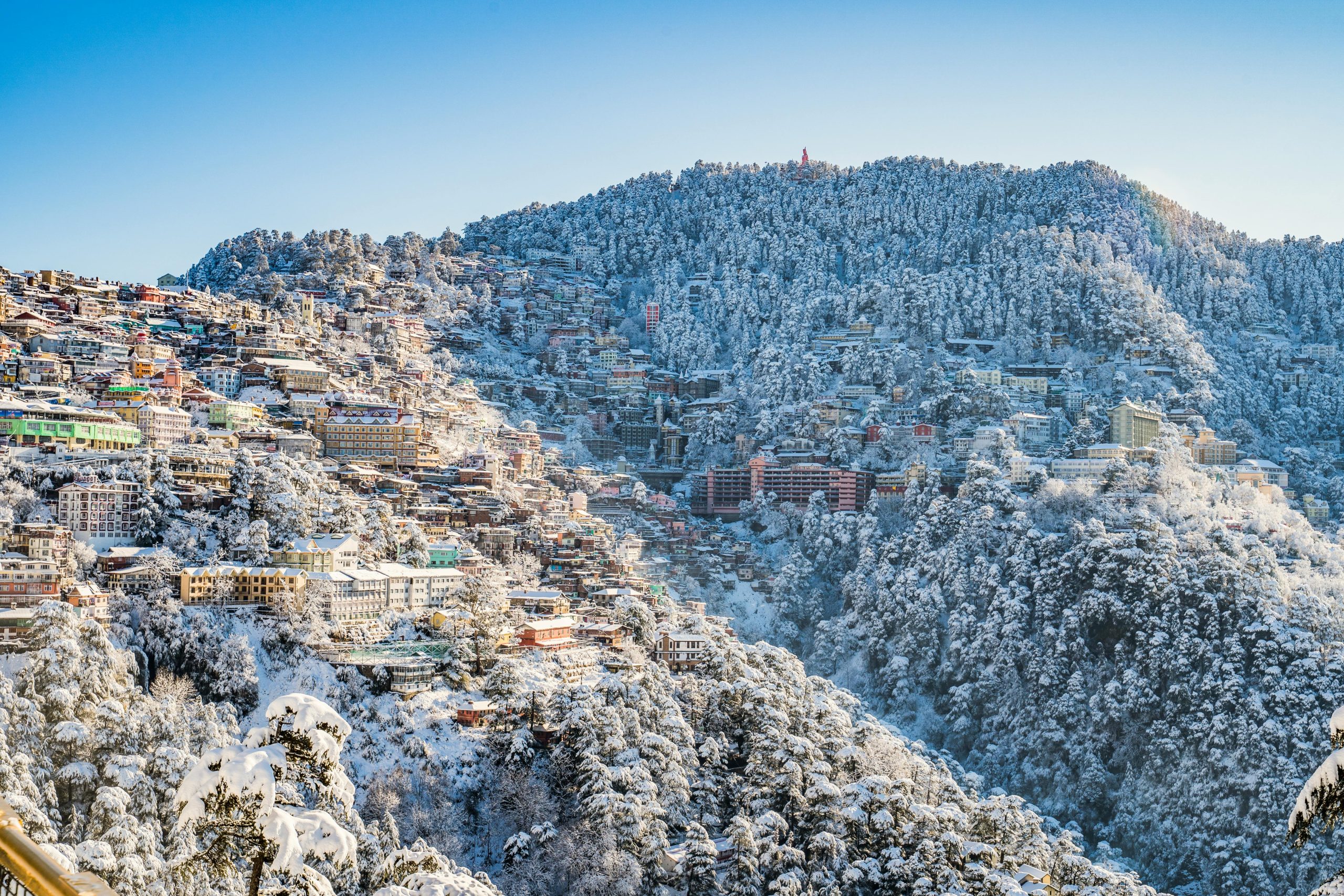 Shimla Trip Packages