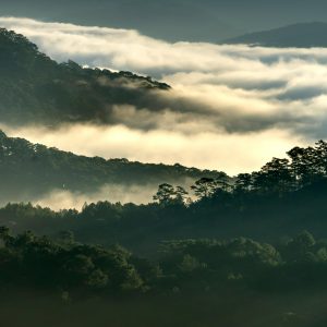 Dalhousie Tour Packages