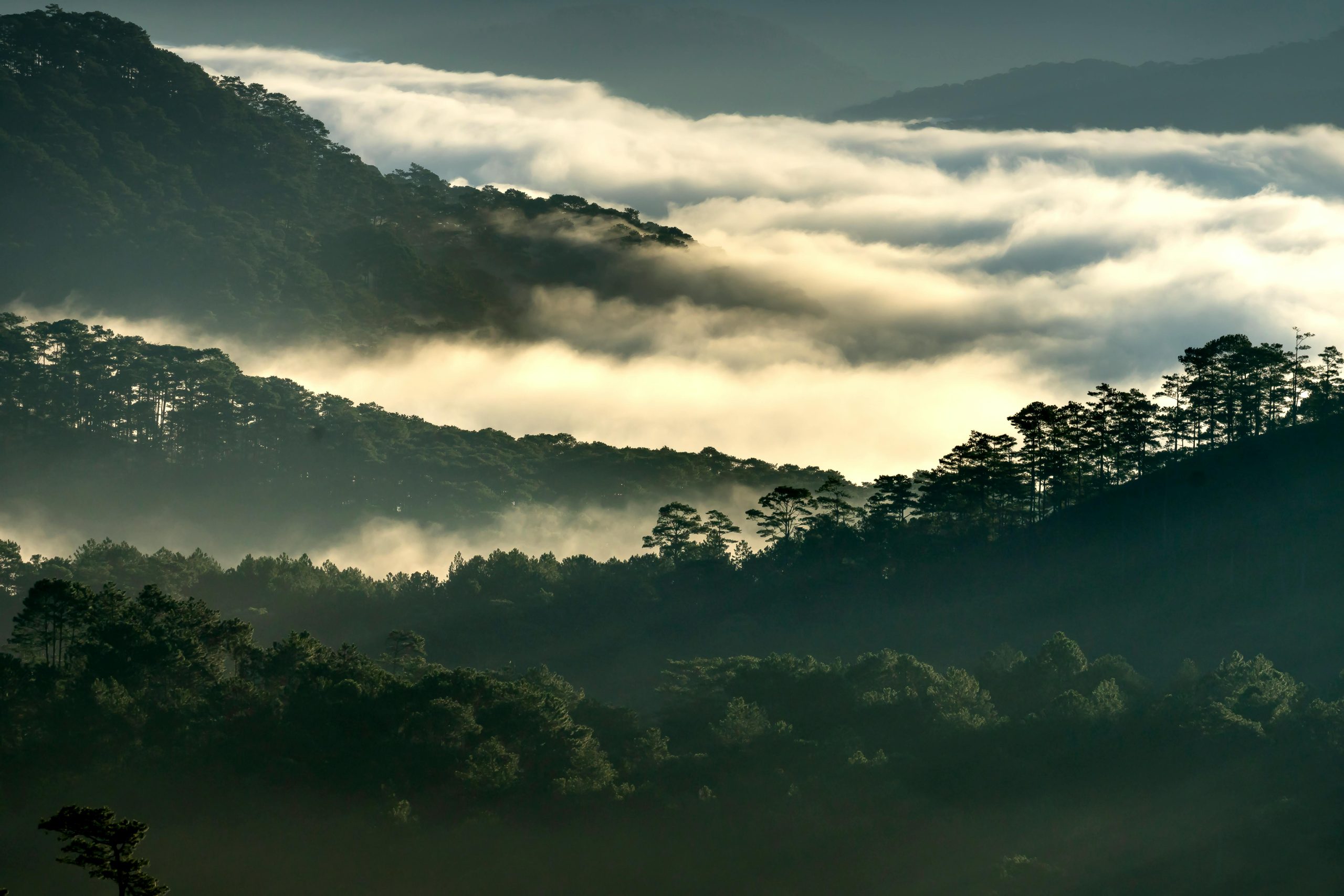 Dalhousie Tour Packages