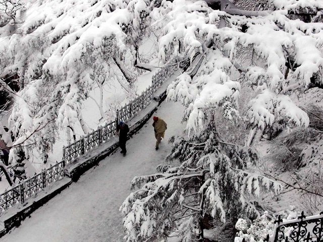 Treks around Chamba and Dalhousie - A Detailed Trekking Guide for Ravi Valley 6 Bakrota Hills 1