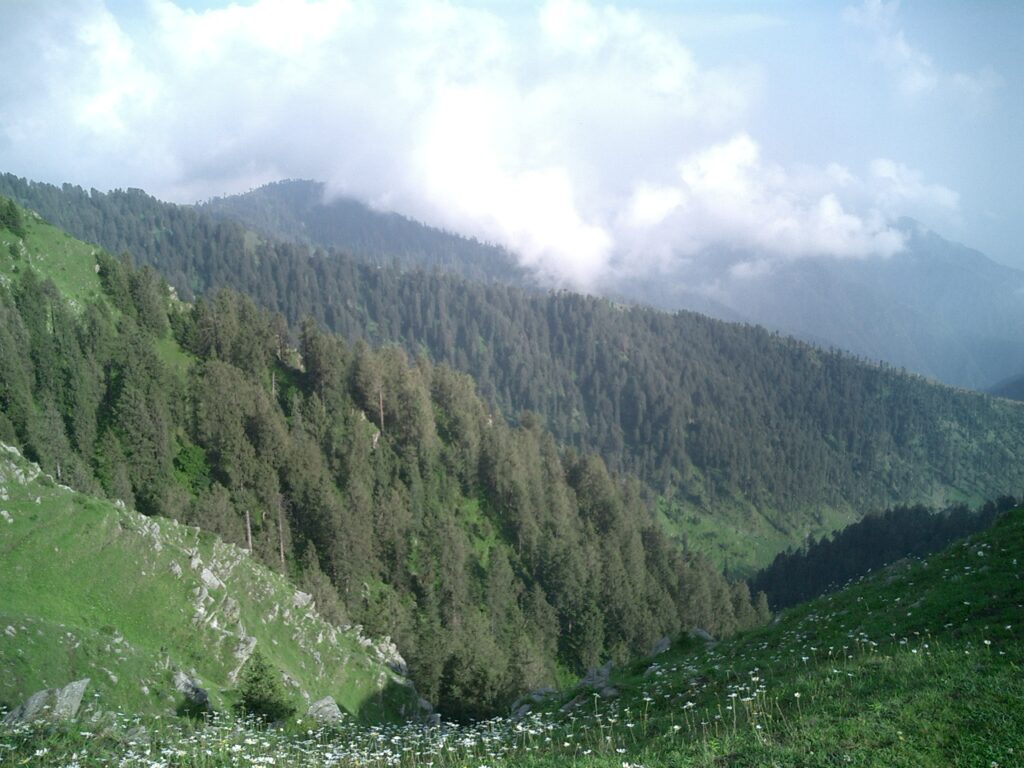 Treks around Chamba and Dalhousie - A Detailed Trekking Guide for Ravi Valley 17 Kalatop Wildlife Sanctuary 1