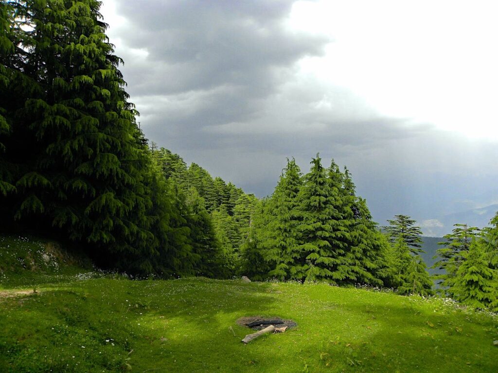 Treks around Chamba and Dalhousie - A Detailed Trekking Guide for Ravi Valley 21 Kalatop Wildlife Sanctuary 5