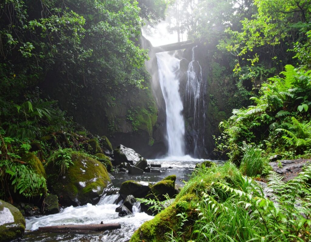 Waterfalls in Himachal Pradesh 6 Khabru Waterfall 2