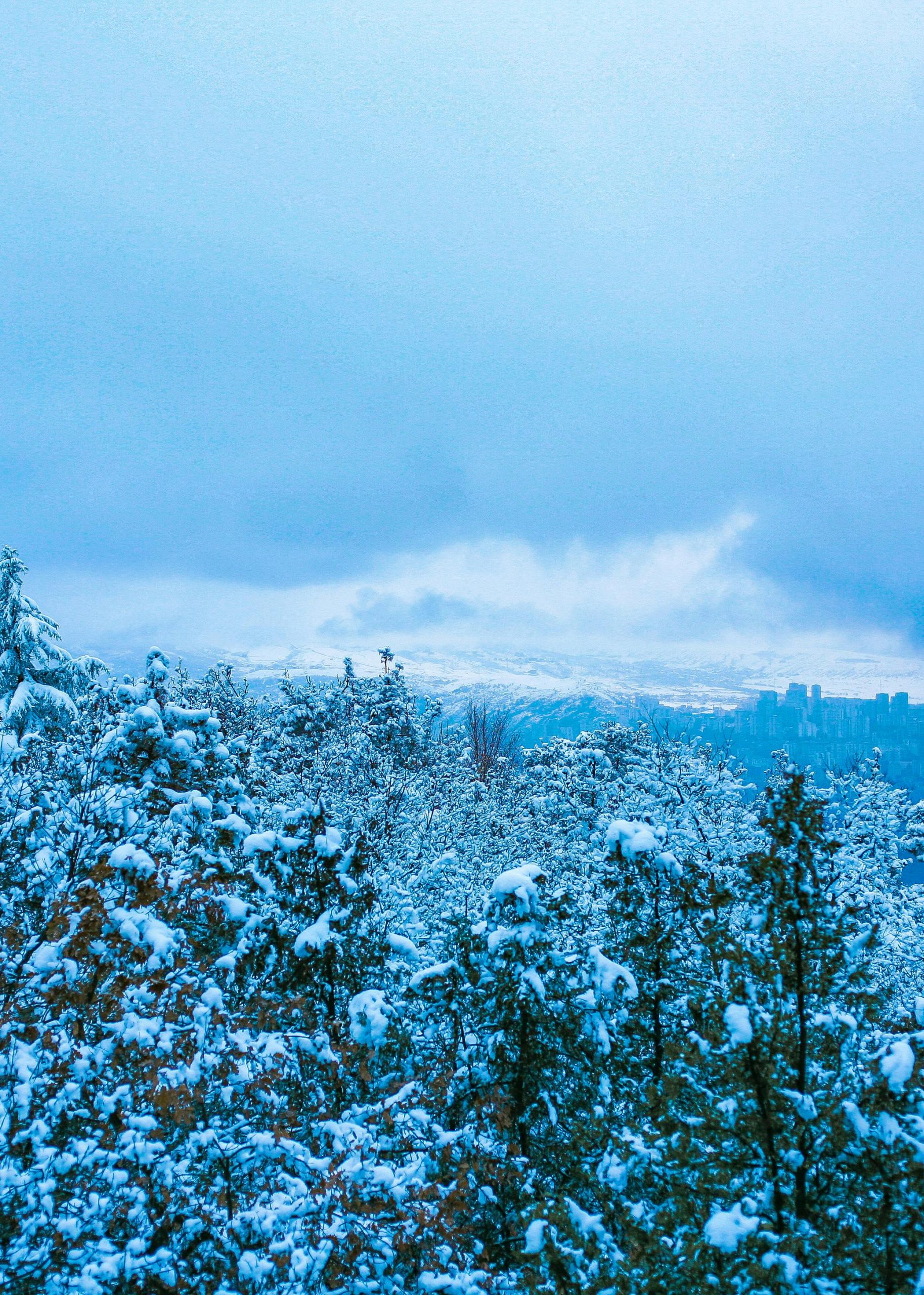 Himachal Tour Packages