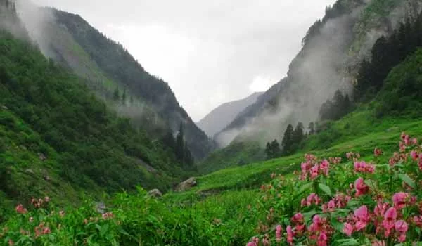 Great-himalayan-national-park