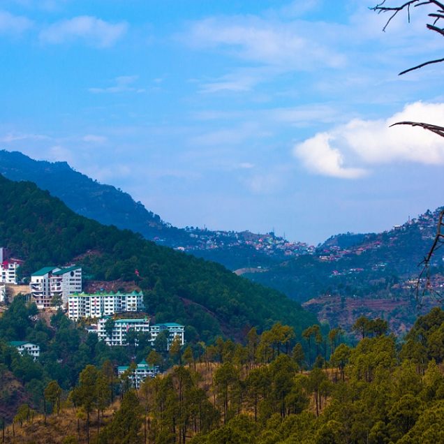 Solan