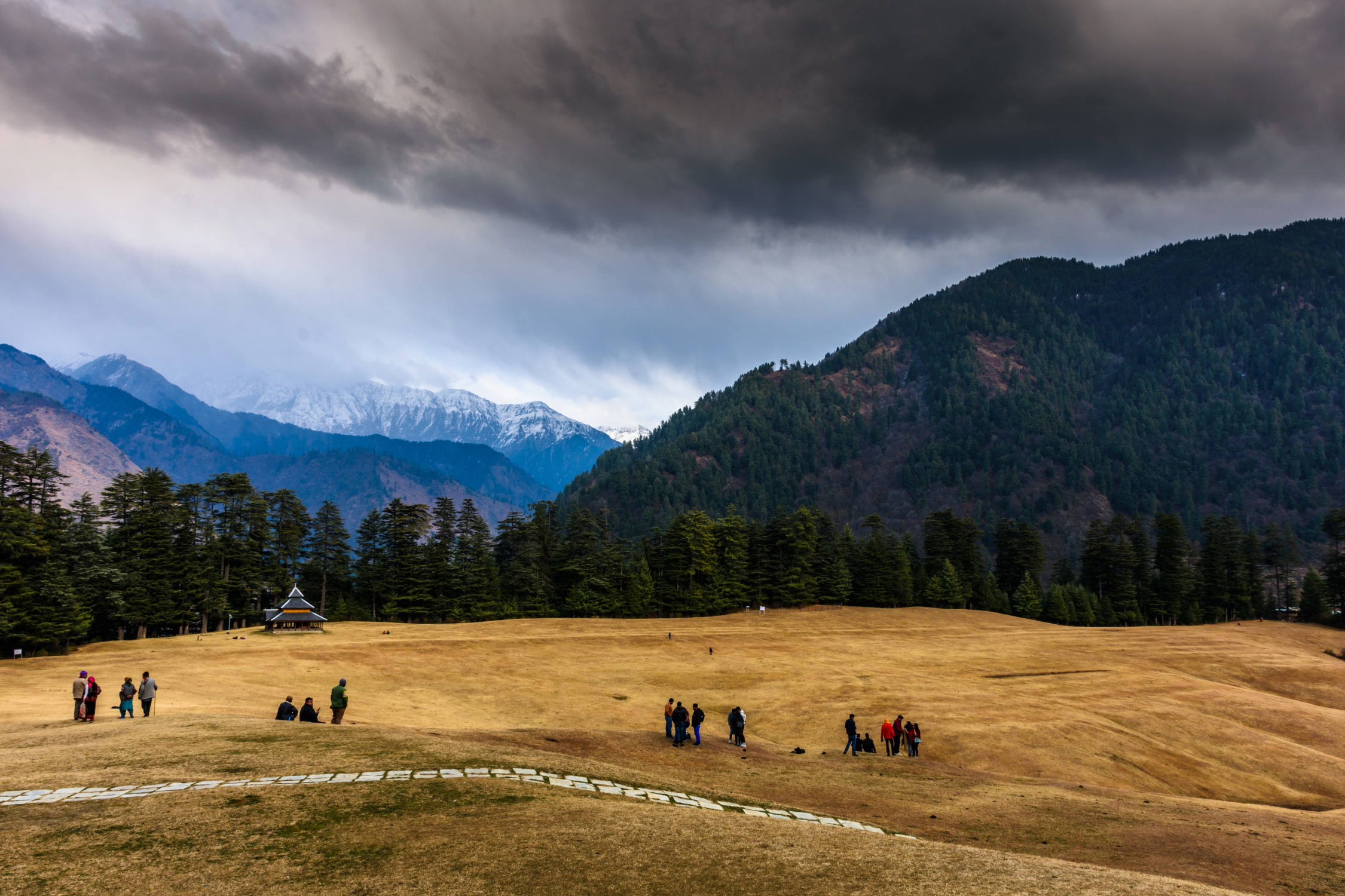 Sainj Valley & Shangarh Travel Guide: The Ultimate Offbeat Himachal Escape 4 Sainj.Valley