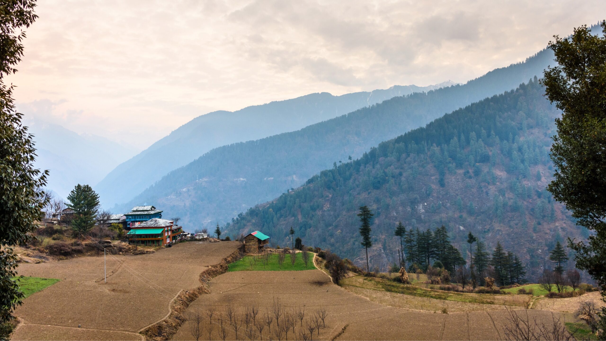 Sainj Valley & Shangarh Travel Guide: The Ultimate Offbeat Himachal Escape 11 sainj scaled